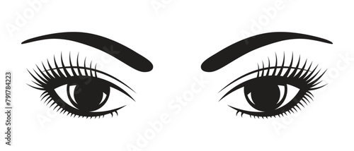 Female eyes with pronounced eyelashes and eyebrows, Fashion and beauty makeup concept.