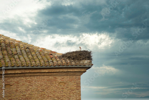 Nest with stork on the roof of the collegiate church of San Miguel,arnedo spain photo