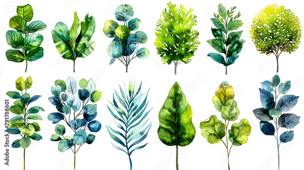 Collection de feuilles, illustration à l'aquarelle Collection de feuilles, illustration à l'aquarelle