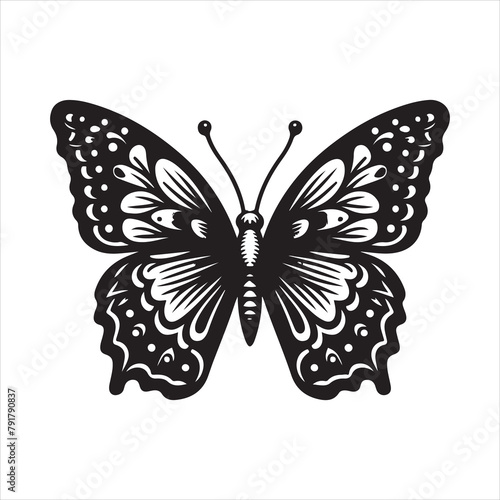 Admiral Butterfly vector