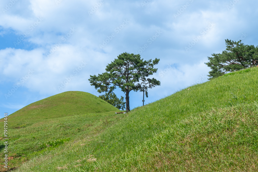mountain, nature, view, tree mountain, nature, view, tree