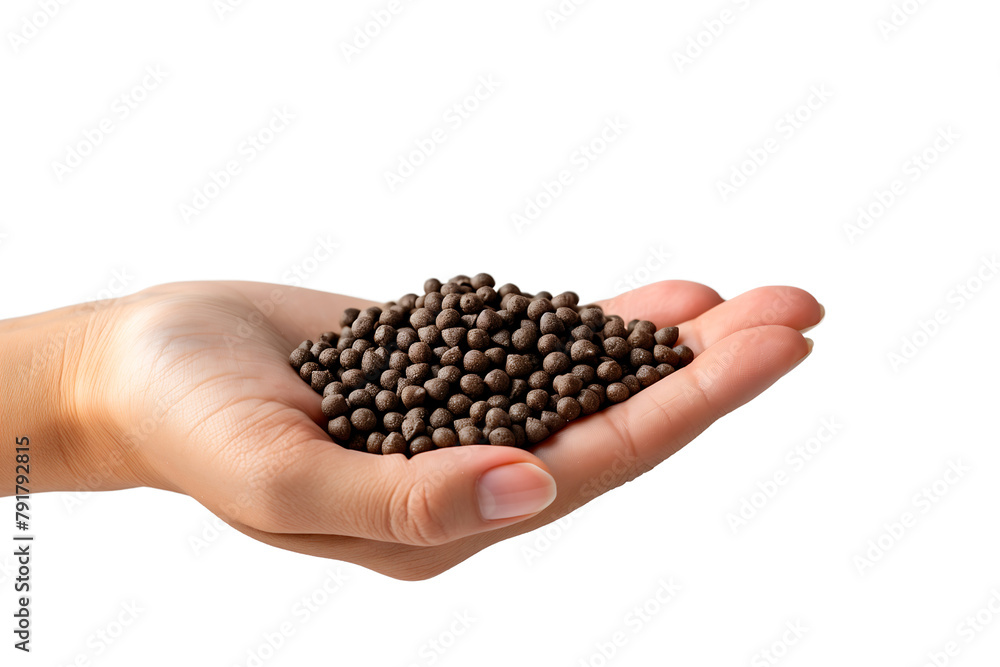 hand is holding fish food isolated on a transparent background hand is holding fish food isolated on a transparent background