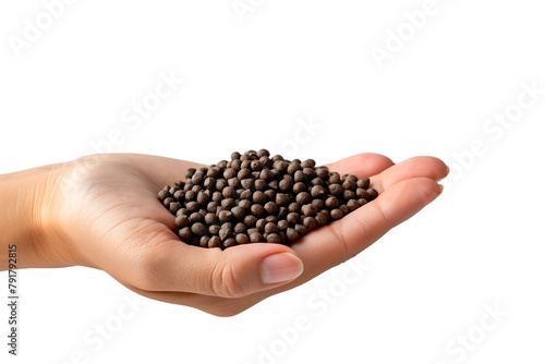 hand is holding fish food isolated on a transparent background