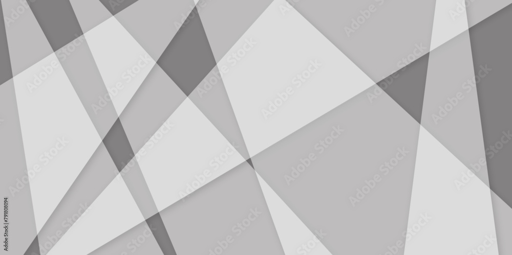 Fototapeta premium Abstract white and grey on light silver background modern design. triangle as background paper texture. Low poly vector illustration. triangle pattern gradient background. 