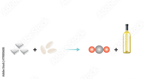 Sugar Fermentation. Alcohol Production by Yeast and Sugar Scientific Design. Vector Illustration.