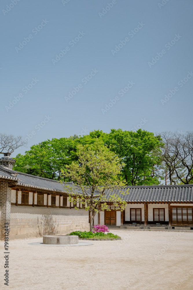 한국 궁