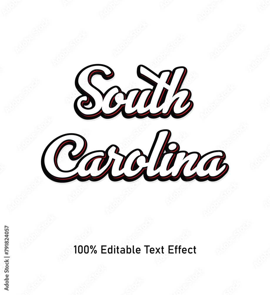 South Carolina text effect vector. Editable college t-shirt design printable text effect vector. 3d text effect vector.