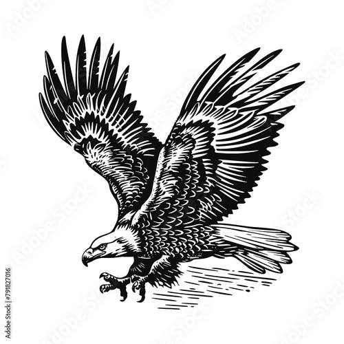 bald eagle engraving black and white outline