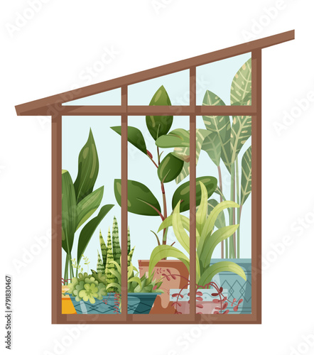 Houseplant and macrame plant growing in hothouse. Greenhouse and macrame plants isolated on white background. Cartoon flat illustration.
