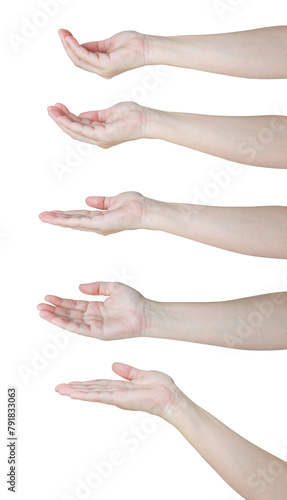 Woman hand gesture holding something set isolated on white background