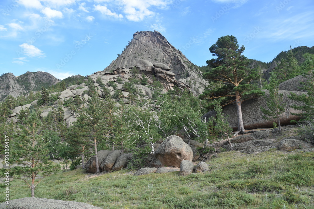 Fototapeta premium mountain goat in the mountains