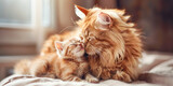 A serene image capturing a fluffy ginger cat and its kitten snuggling together on a furry blanket, embodying warmth and mother's love. 