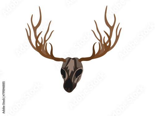 Schomburgk's deer on a white background.