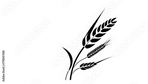 Black and white illustration of an ear of wheat in a field. An ear of wheat. photo