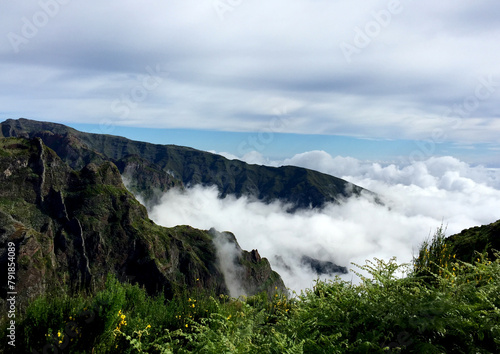 Sea of clouds in the mountains