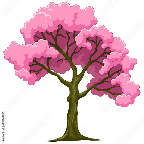Illustration of a pink cherry blossom tree with pink flowers on a white background