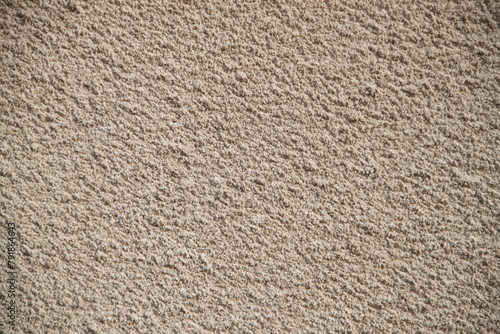 Wallpaper Mural Texture of old textured concrete wall. Gray concrete texture Torontodigital.ca