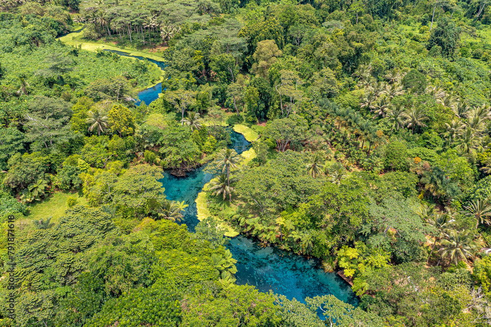 Incredible tourist landscape with a blue river in jungle forests. Top view, drone photo. Vanuatu.