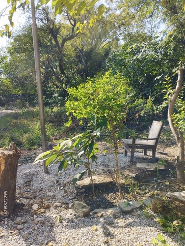 bench in the park