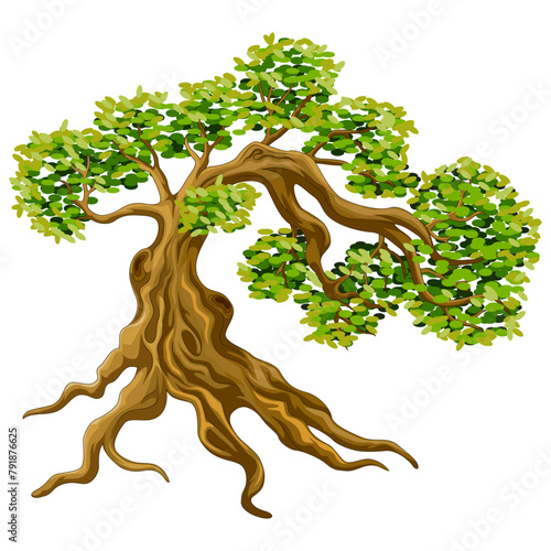 Bonsai Tree with roots and leaves isolated on white background. Vector illustration.