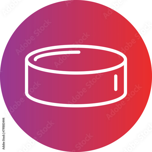 Photography Ice Hockey Puck Icon Style