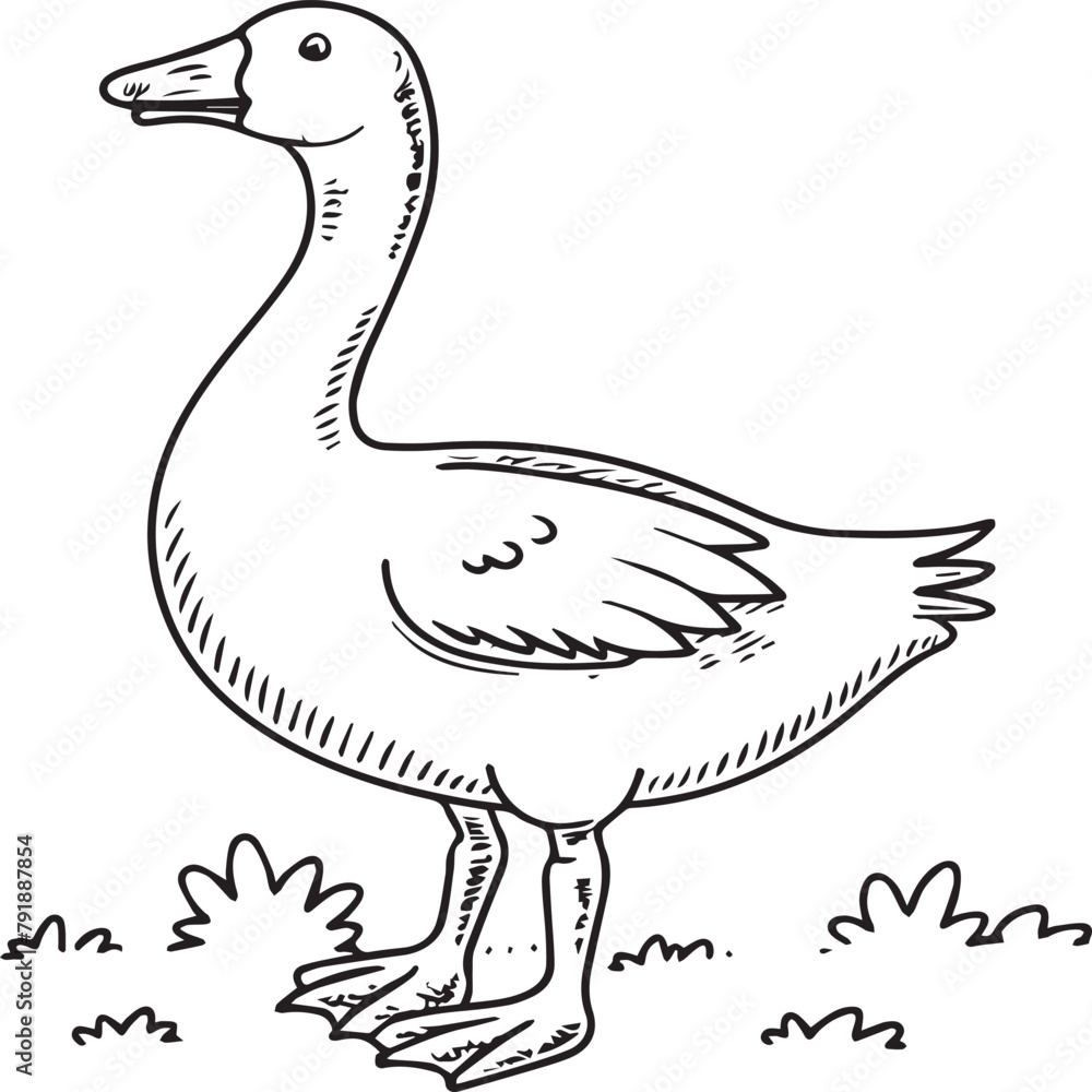 Fototapeta premium Goose coloring pages. Bird outline for coloring book