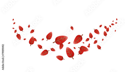 Autumn leaves, falling red leaves caught in the wind 3d vector illustration, fly forest flora, trees foliage wave border photo