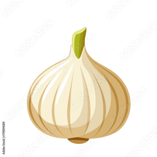 Garlic isolated on white background