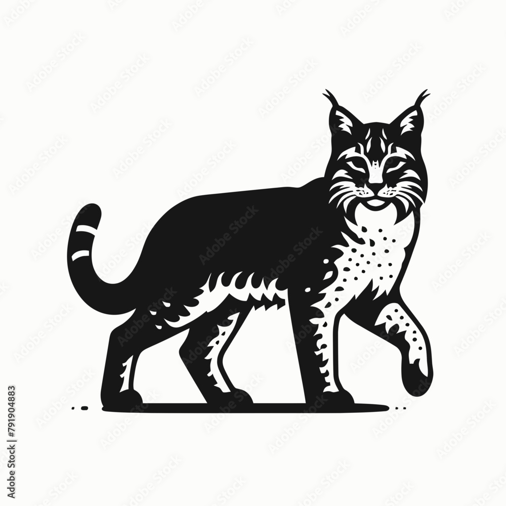 bobcat silhouette vector illustration White Background bobcat silhouette vector illustration White Background
