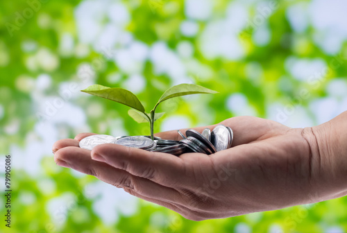 Money growth and investment concept. hand with coins and a small plant.