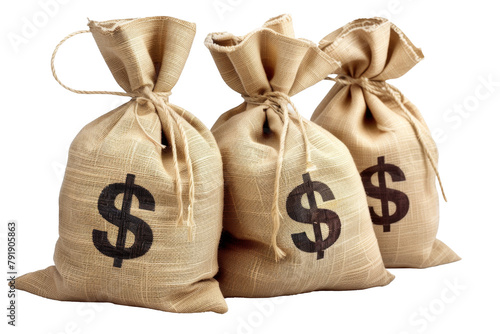 Full Money Bag with Dollar Sign Isolated