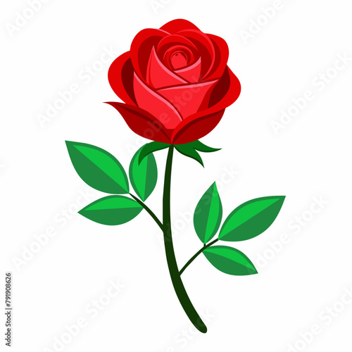 A Red rose vector art illustration (4)