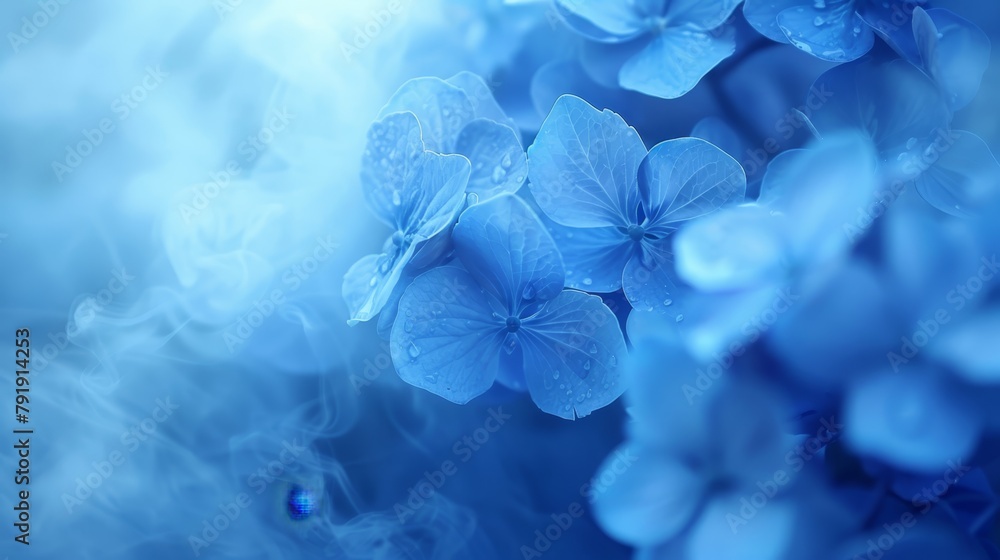 Blue flowers cluster against a blue-and-white backdrop, their petals softly blurred Blue flowers cluster against a blue-and-white backdrop, their petals softly blurred