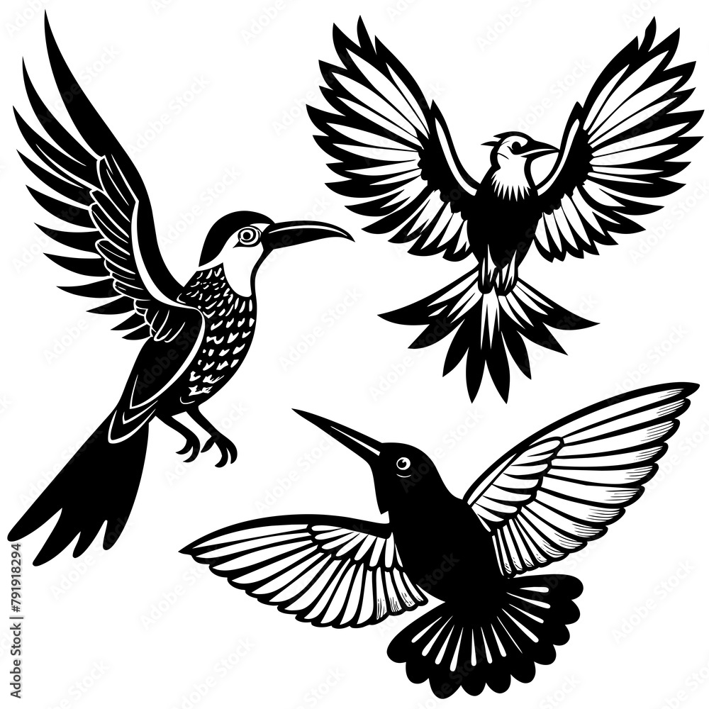 Fototapeta premium set of black and white birds logo icon vector illustration