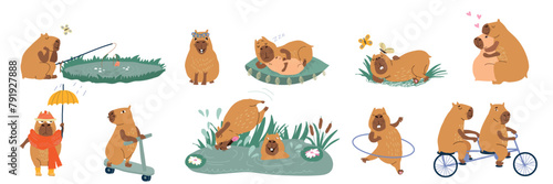 Fluffy copybaras have good time outdoors, fishing or swimming in swamp and sleeping lying on grass. Cute copybaras with bicycle or hula hoop for outdoor activities, near sad animal with umbrella