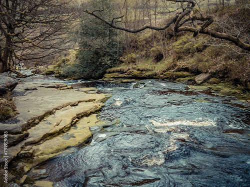 Stream in the forest. A little river stream running down some rocks, stone path between the forest trees. Moorland English scene. photo