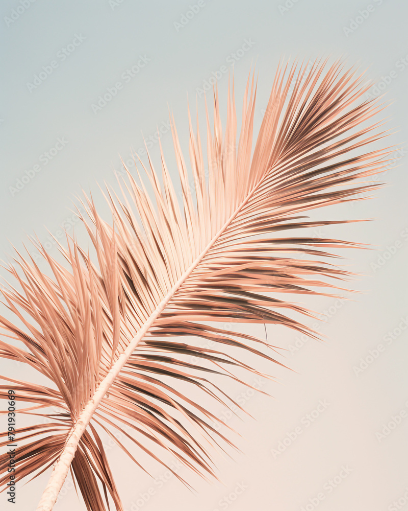 Obraz premium super clear photo of a ficus plant on a beige gray background сreated with Generative Ai