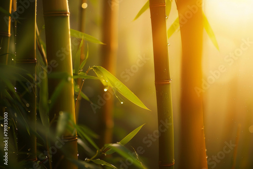 The ethereal beauty of a bamboo grove at sunrise, with the early light casting a warm glow on the dew-covered stalks - Generative AI