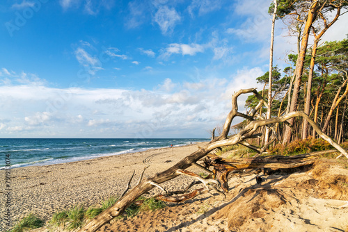 Abendstimmung am Darßer Weststrand, Fischland-Darß-Zingst, Mecklenburg-Vorpommern, Deutschland
