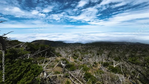 제주도 한라산에서 본 풍경