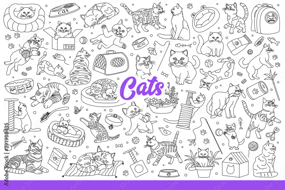 Domestic cats have fun with favorite toys or sleep on beds and sharpen claws. Background with pets pleasing owners, for advertising accessories store or cat food. Hand drawn doodle