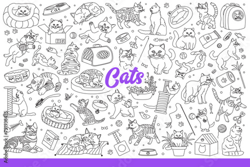 Domestic cats have fun with favorite toys or sleep on beds and sharpen claws. Background with pets pleasing owners  for advertising accessories store or cat food. Hand drawn doodle