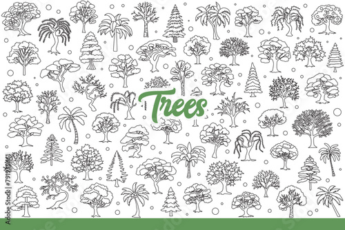 Forest trees growing in different regions, for concept of biodiversity. Seasonal and evergreen trees covered with foliage and towering in national parks or taiga. Hand drawn doodle