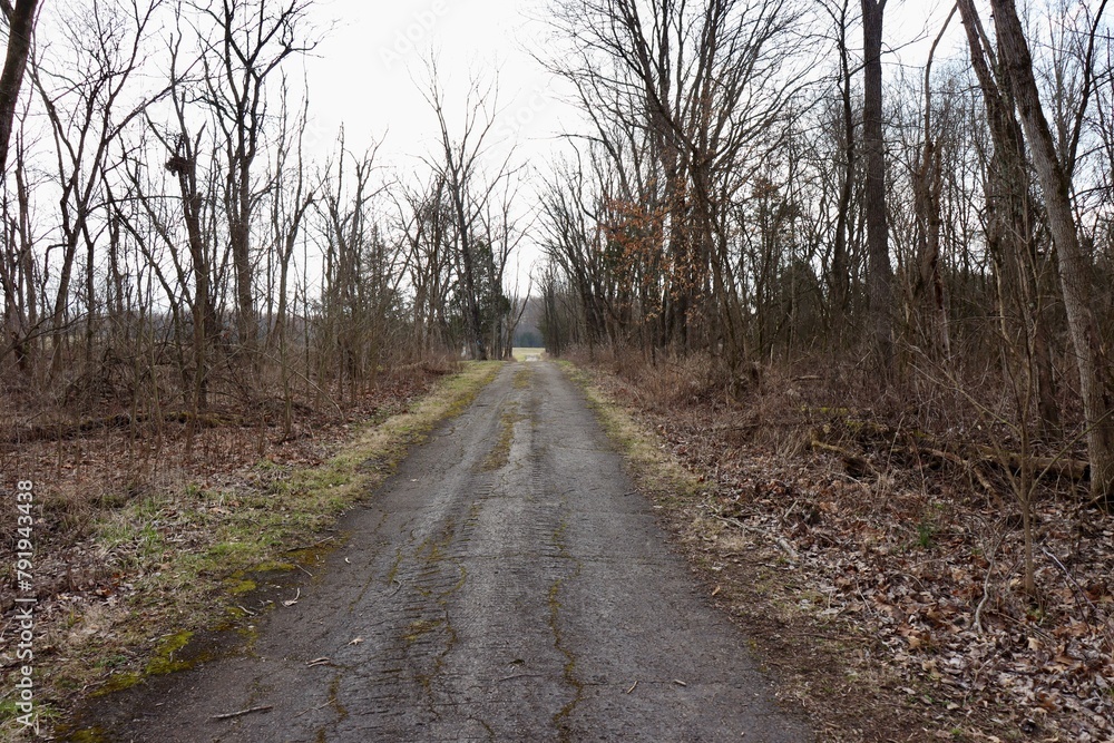 The long pathway in the countryside on a cloudy day.