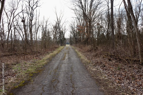 The long pathway in the countryside on a cloudy day.