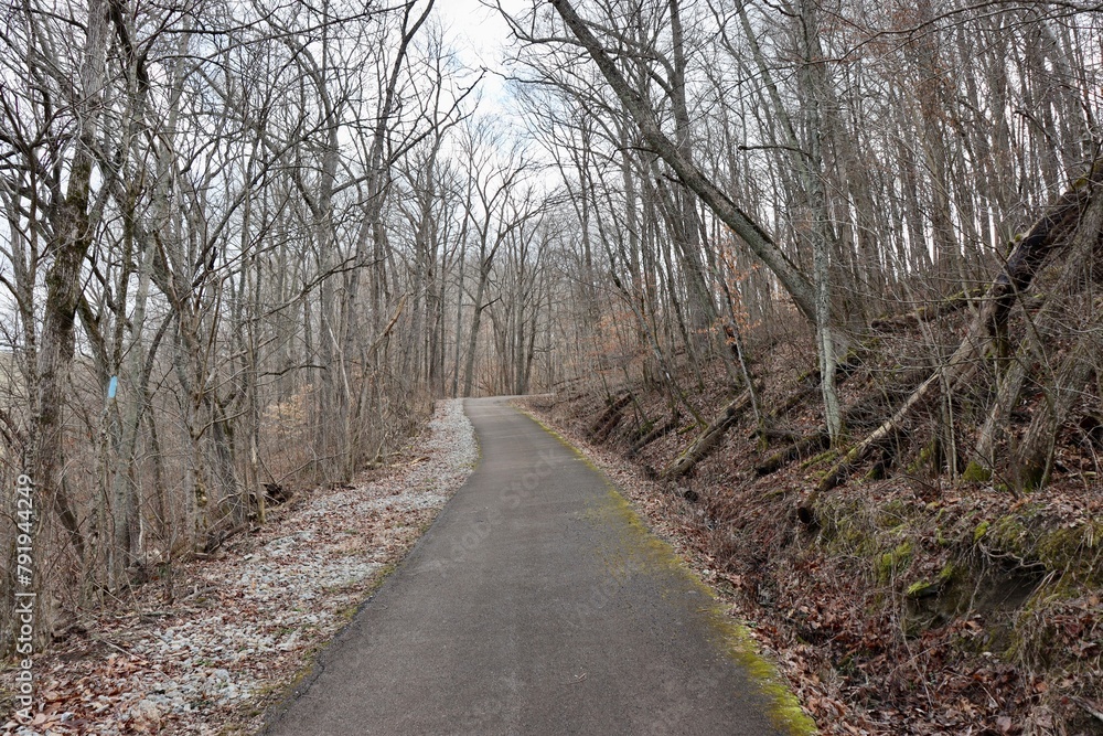 The long walkway in the forest a cloudy day.