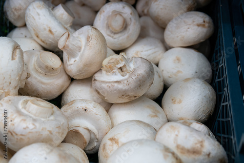 Champignon mushrooms are sold in a supermarket