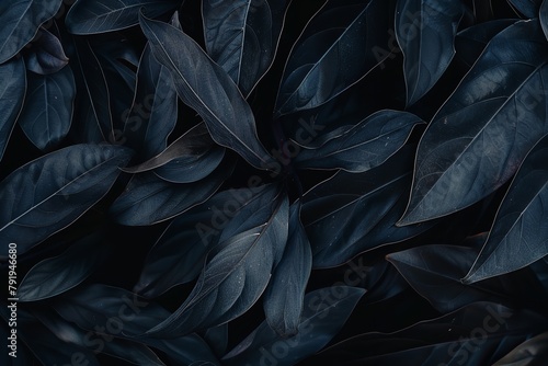 Abstract black leaf textures for a tropical environment. Generative Ai © Omor