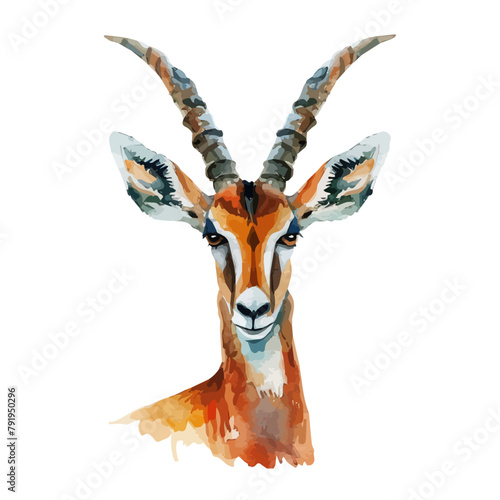 Watercolor Vector painting of a antelope, isolated on a white background, antelope vector, antelope clipart, antelope art, antelope painting, antelope Graphic, drawing clipart.