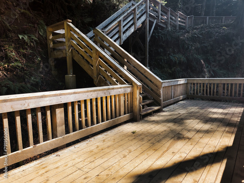 Concept Design of Bridge and Stairs at The Benson Creek Falls Regional Park, Nanaimo, British Colombia, Canada